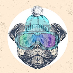 Hipster animal pug dog in winter hat and snowboard goggles. Hand drawing Muzzle of pug dog