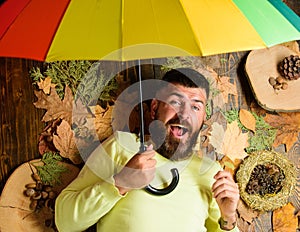 Hipster with beard mustache expect rainy weather hold umbrella enjoy season. Man bearded lay on wooden background with