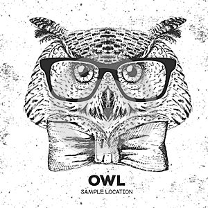 Hipster bird owl. Hand drawing Muzzle of bird owl