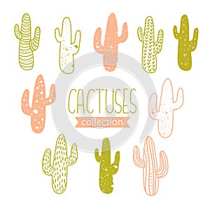 Hipster cactus set. Cacti tribal boho elements. Vector illustration.