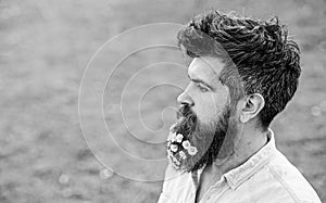 Hipster on calm face, green grass background, copy space. Man with beard and mustache enjoy spring, green meadow