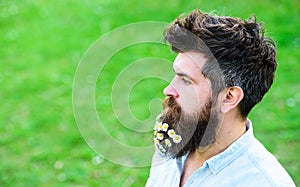 Hipster on calm face, green grass background, copy space. Man with beard and mustache enjoy spring, green meadow