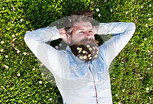 Hipster on calm face lays on grass, top view. Appeasement concept. Man with beard and mustache enjoys spring, green