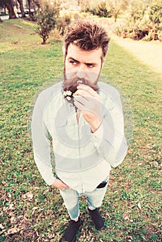 Hipster on calm face stand on grass, defocused. Natural beauty concept. Man with beard and mustache enjoy spring