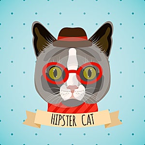 Hipster cat portrait