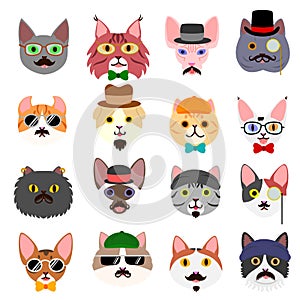 Hipster cats faces set