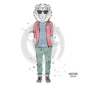 Hipster dressed lion in jacket, pants and sweater. Vector illustration