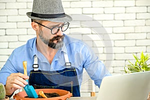 Hipster elderly men learn to take care of plants online with laptop, a hobby of urban home gardening after sustainable retirement