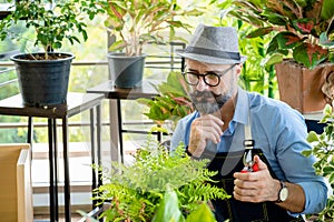 Hipster elderly men take care of the trees, pruning trees with scissors as a hobby of urban home gardening after sustainable