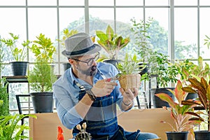 Hipster elderly men take care of the trees, pruning trees with scissors as a hobby of urban home gardening after sustainable