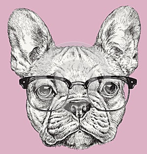 Hipster Geek French Bulldog vector illustration photo