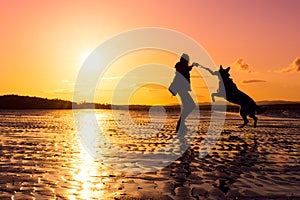 Hipster girl playing with dog at a beach during sunset, silhouettes