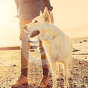 Hipster girl playing with dog at a beach during sunset, strong lens flare effect