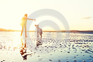 Hipster girl playing with dog at a beach during sunset, strong lens flare