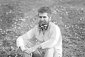 Hipster on happy face sits on grass. Guy looks nicely with daisy or chamomile flowers in beard. Natural hair care