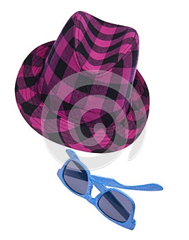 Hipster Hat and Sunglasses