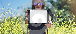 Hipster holding in hands tablet computer. Girl traveler with sunglasses using gadget on sun flare and yellow flowers background