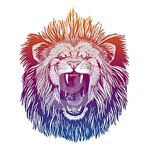 Hipster lion vector illustration. Mascot. Portrait of wild animal for logo, emblem.