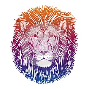 Hipster lion vector illustration. Mascot. Portrait of wild animal for logo, emblem.