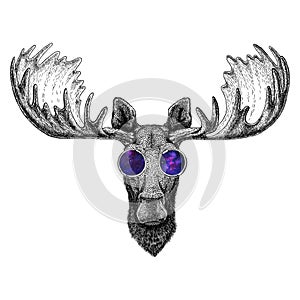 Hipster moose, elk wearing glasses Image for tattoo, logo, emblem, badge design