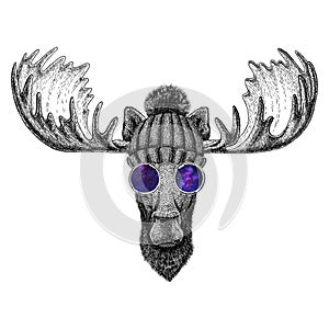 Hipster moose, elk wearing knitted hat and glasses Image for tattoo, logo, emblem, badge design