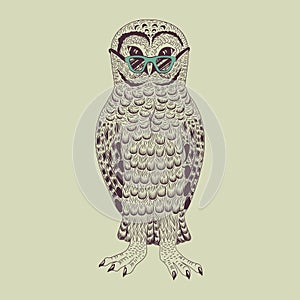 Hipster owl vector illustration.