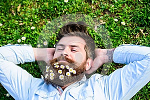 Hipster on peaceful face lays on grass, top view. Guy looks nicely with daisy or chamomile flowers in beard. Man with