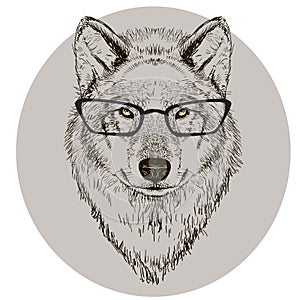 Hipster portrait of wolf with glasses