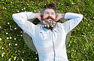 Hipster on relaxed face lays on grass, top view. Appeasement concept. Guy looks nicely with daisy or chamomile flowers