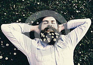 Hipster on relaxed face lays on grass, top view. Appeasement concept. Man with beard and mustache enjoys spring, green