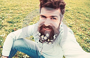 Hipster on smiling face sits on grass, defocused. Natural beauty concept. Man with beard enjoys spring, green meadow