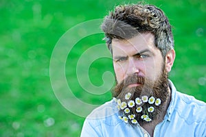 Hipster on strict face, green grass background, copy space. Man with beard and mustache enjoy spring, green meadow