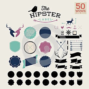Hipster style infographics elements and icons