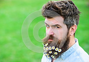 Hipster on suspicious face, grass background, copy space. Spring freshness concept. Man with beard and mustache enjoy