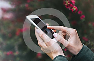 Hipster texting on smartphone or technology, mock up of blank screen. Girl using cellphone on red flowers background. Hands hold