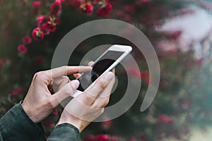 Hipster texting on smartphone or technology, mock up of blank screen. Girl using cellphone on red flowers background. Hands hold