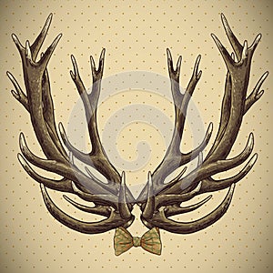 Hipster vintage background with deer antlers