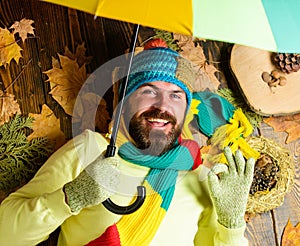 Hipster wear knitted hat and gloves expect rainy weather hold umbrella. Man bearded lay on wooden background with leaves