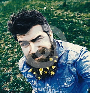 Hipster on winking face sits on grass, defocused. Man with beard enjoys spring, green meadow background. Spring season