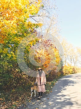 Hipster woman traveling with her golden dog, walking on autumn sunny road with fall leaves. Woman in hat and coat with dog