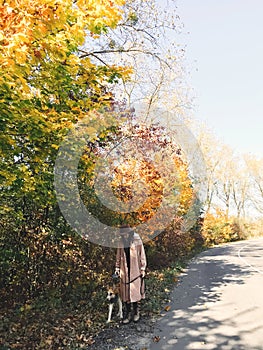 Hipster woman traveling with her golden dog, walking on autumn sunny road with fall leaves. Woman in hat and coat with dog