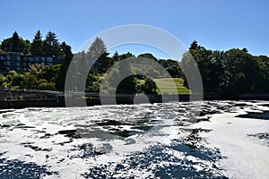 Hiram M. Chittenden Locks Ballard Locks in Seattle, Washington