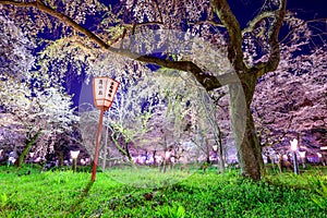 Hirano Shrine in Kyoto