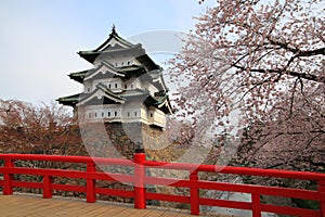 Hirosaki castle and cherry blossoms photo