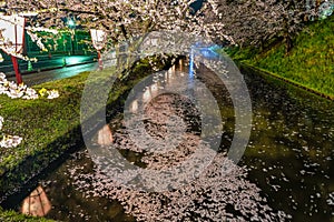 Hirosaki park cherry blossom matsuri festival light up at night in springtime season