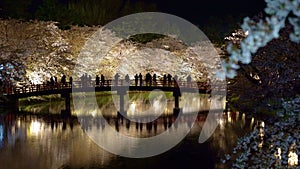 Hirosaki park cherry blossom matsuri festival light up at night in springtime season