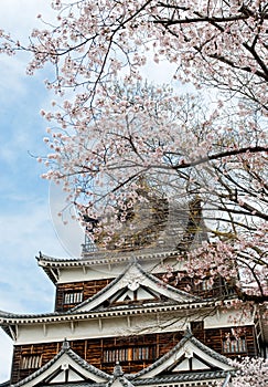Hiroshima Castle with Cherry Blossom