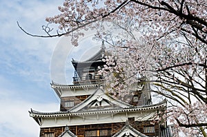 Hiroshima Castle with Cherry Blossom