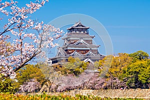 Hiroshima Castle During Cherry Blossom Season