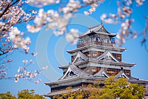 Hiroshima Castle During Cherry Blossom Season